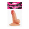 Accesorio para Fiestas Universal Soporte de Pene