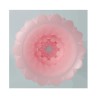 Alice Huevo Masturbador Rosa