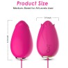 ARMONY - VIBRADOR DE HUEVO DE MANDALA G-SPOT CONTROL REMOTO ROSA