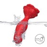 ARMONY - ROSA VIBRADOR & PLUG DE ANO CONTROL REMOTO ROJO