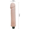 BAILE - COMPANION DE AMOR VIBRADOR DE DILDO 25 CM
