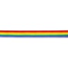 Banda Colores Bandera LGBT+