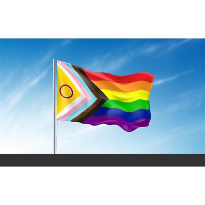 Bandera Intersexsual 90x150cm