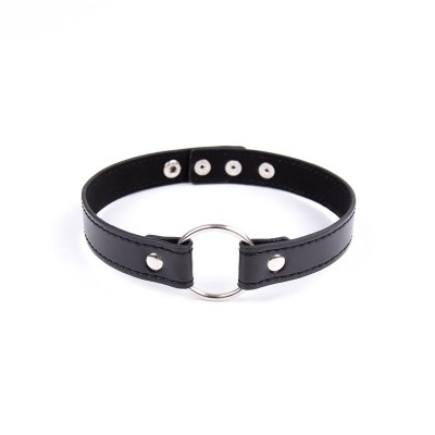 Collar con Aro Ajustable 38,2 cm Negro