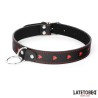 Collar con Correa 52 cm