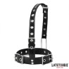 Collar con Gancho para la Nariz