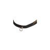 Collar de Cuero Ajustable