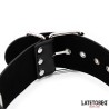 Collar y Esposas Ajustables