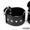 Collar y Esposas Ajustables