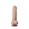 Dildo Mod 1 - 9