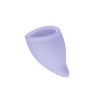 Fun Cup Copa Menstrual Talla A Purpura
