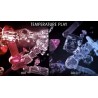 ICICLES - N. 43 GLASS MASSAGER