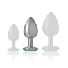 INTENSE - ALUMINUM METAL ANAL PLUG BLUE HEART SIZE M