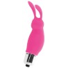 INTENSE - RABBIT ROGER ROSA