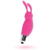INTENSE - RABBIT ROGER ROSA