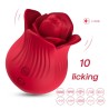 Licking rose
