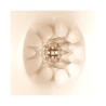 Olga Huevo Masturbador Double Texture