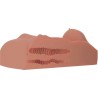 PDX PLUS - FEMALE MASTURBATOR TORSO DOUBLE ENTRY CANDY