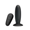 Plug Anal con Vibración y Control Remoto USB