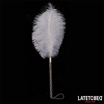 Pluma Estimuladora 44 cm