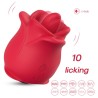 Rosa con Licking y Vibración USB