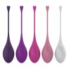 Set de 5 Bolas Kegel Diferentes Pesos