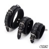 Set de Restricciones con Collar y Esposas