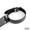 Set de Restricciones para Brazos