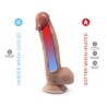 Dildo Mod 1 - 8